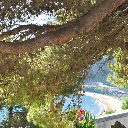 Charming With Swimming Pool Near