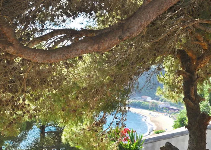 Charming With Swimming Pool Near