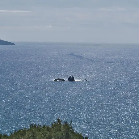 Charming With Swimming Pool Near *